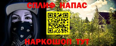 ПСИЛОЦИБИНОВЫЕ ГРИБЫ Гай