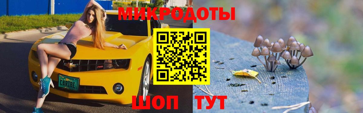 Мытищи  Галлюциногенные грибы прущие грибы  Вход с VPN  Галлюциногенные грибы ЛСД 